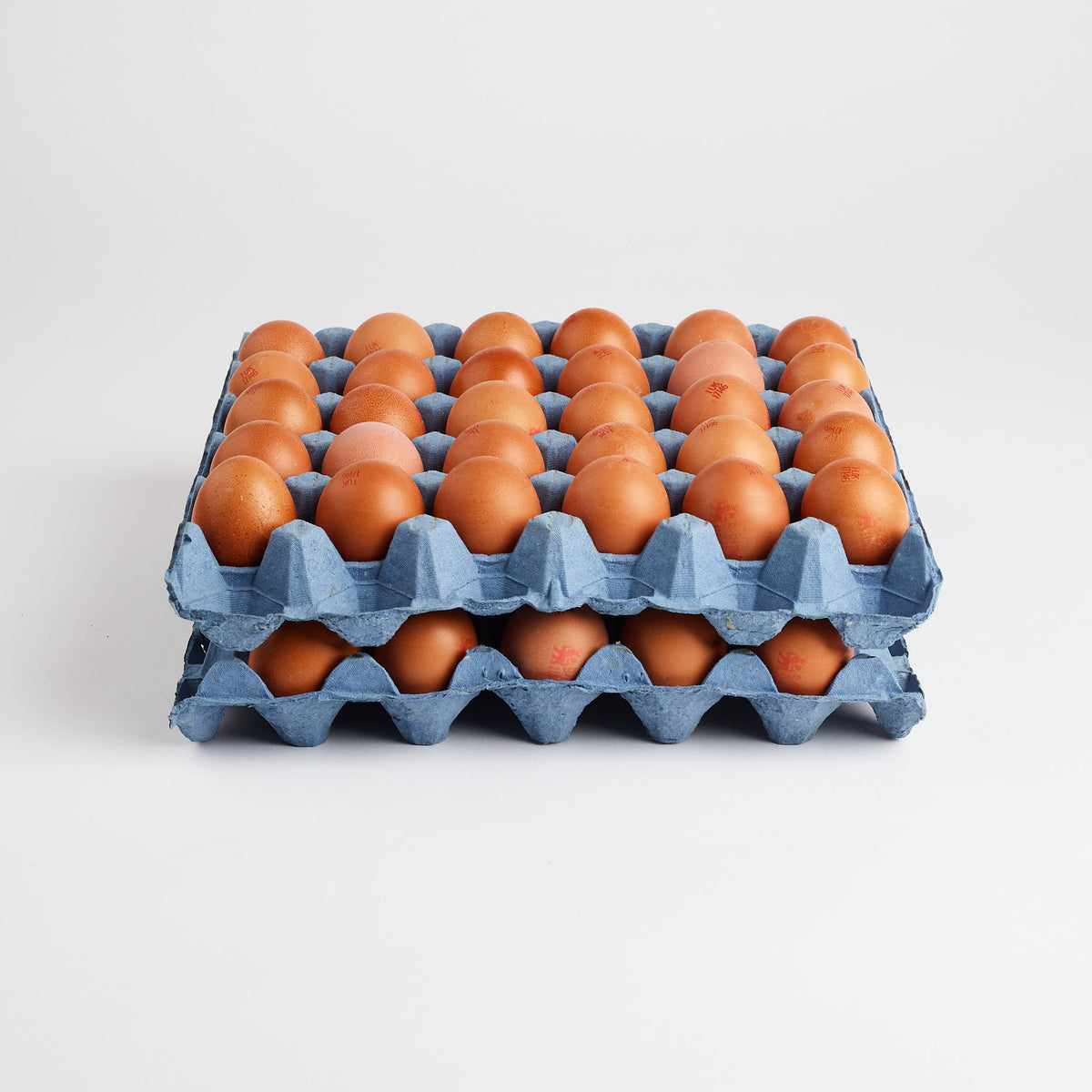 Free Range Eggs 5 dozen classonedirect