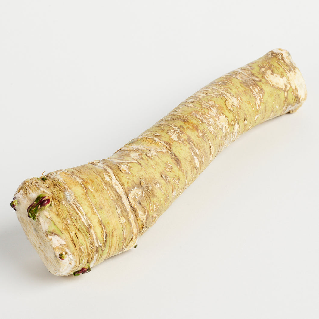 Horseradish Root