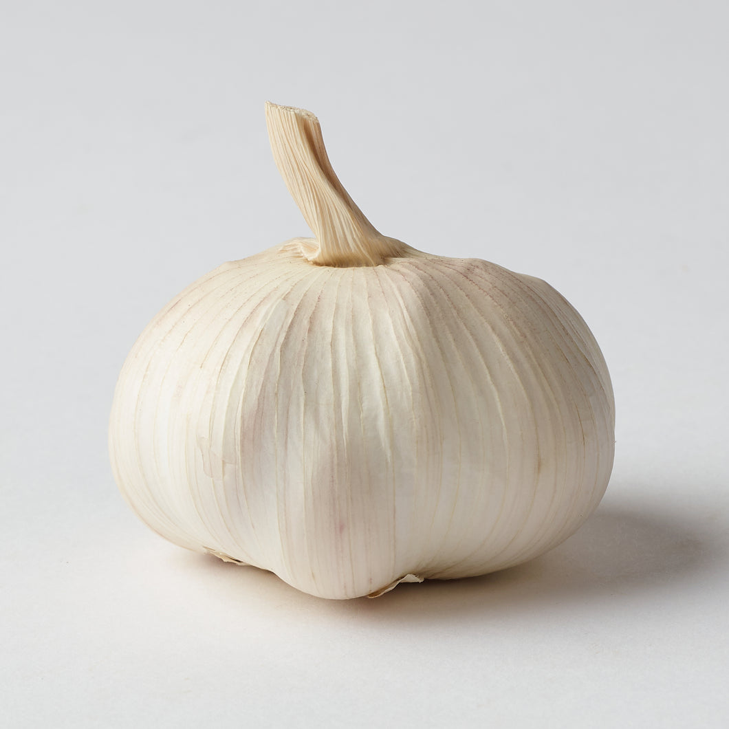 Garlic Bulb