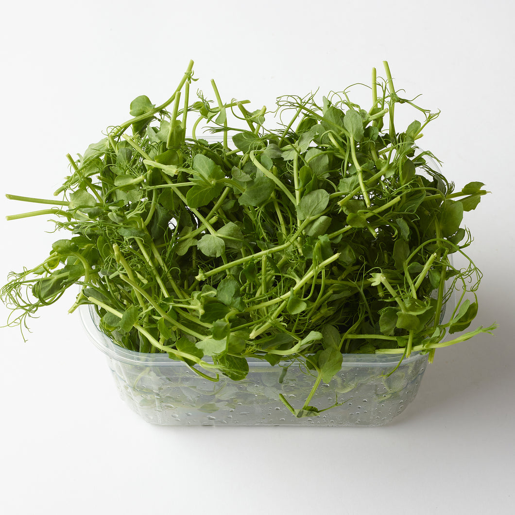 Pea Shoots