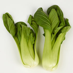 Pak Choi