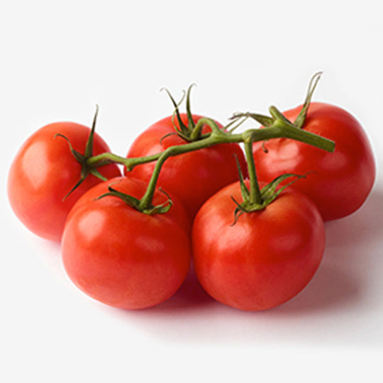Vine Tomato Bunch