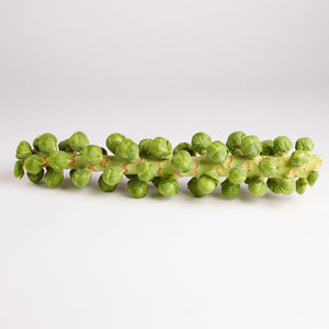 Brussels Sprout Tree
