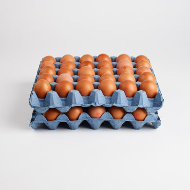 class-one-eggs